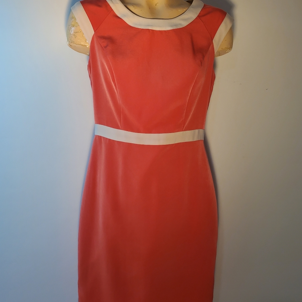Sheath dress for work or play-Limited